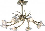 N-Light Люстра "PX-0653/8A brass" потолочная